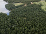 Photo of    55 +/- Acres on Lakewood Dr